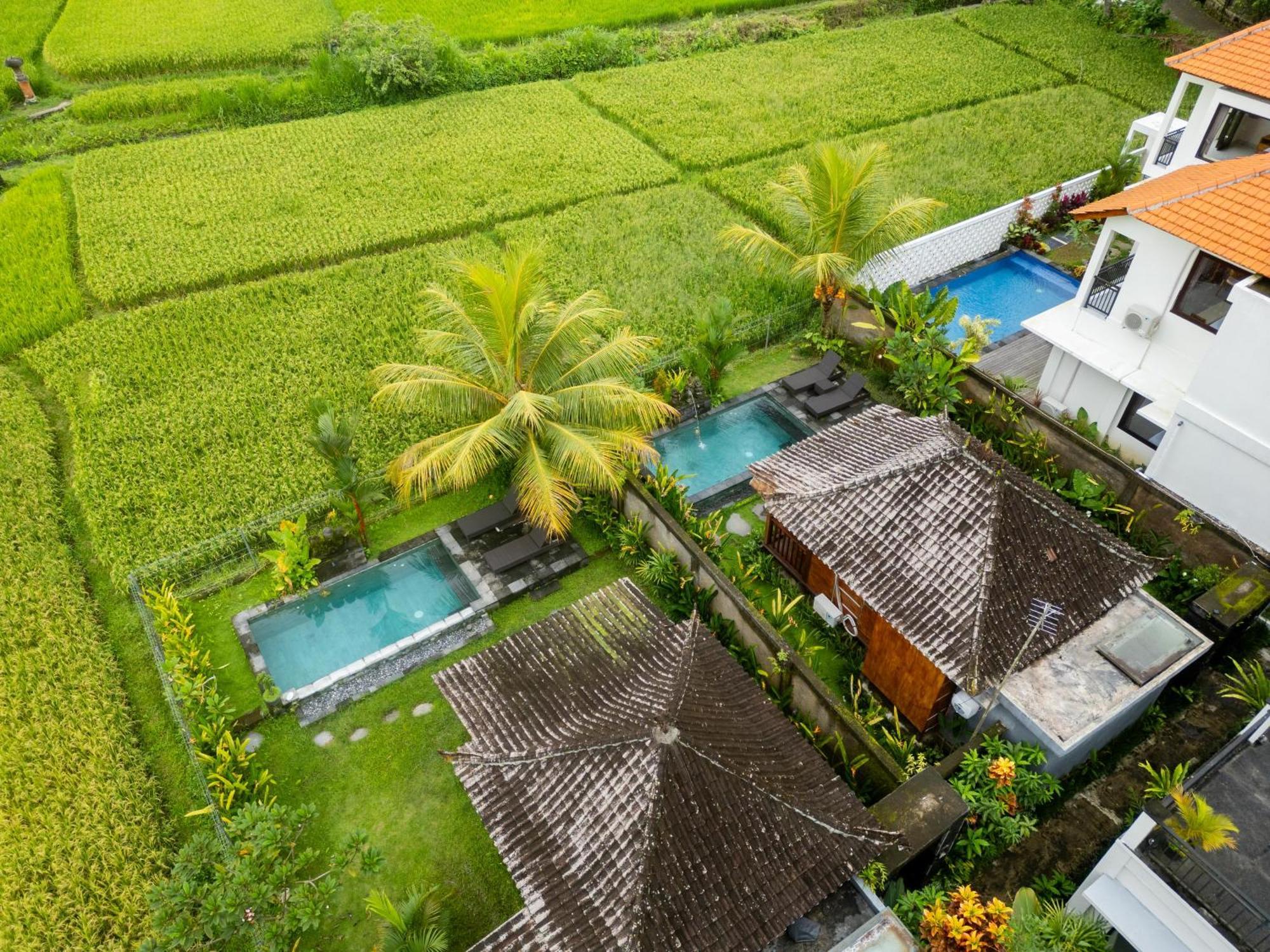 Mardika Private Villa Ubud Kültér fotó